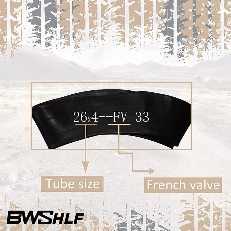 BWSHLF Fat Tire Bike 2 Pack