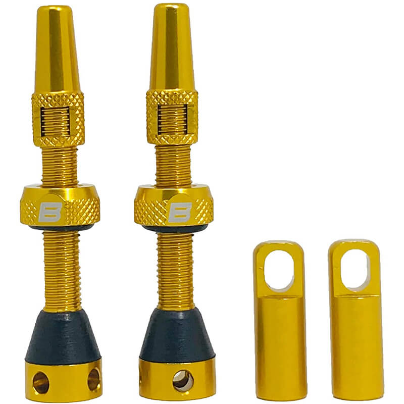 BWSHLF Tubeless Presta Valve Stem