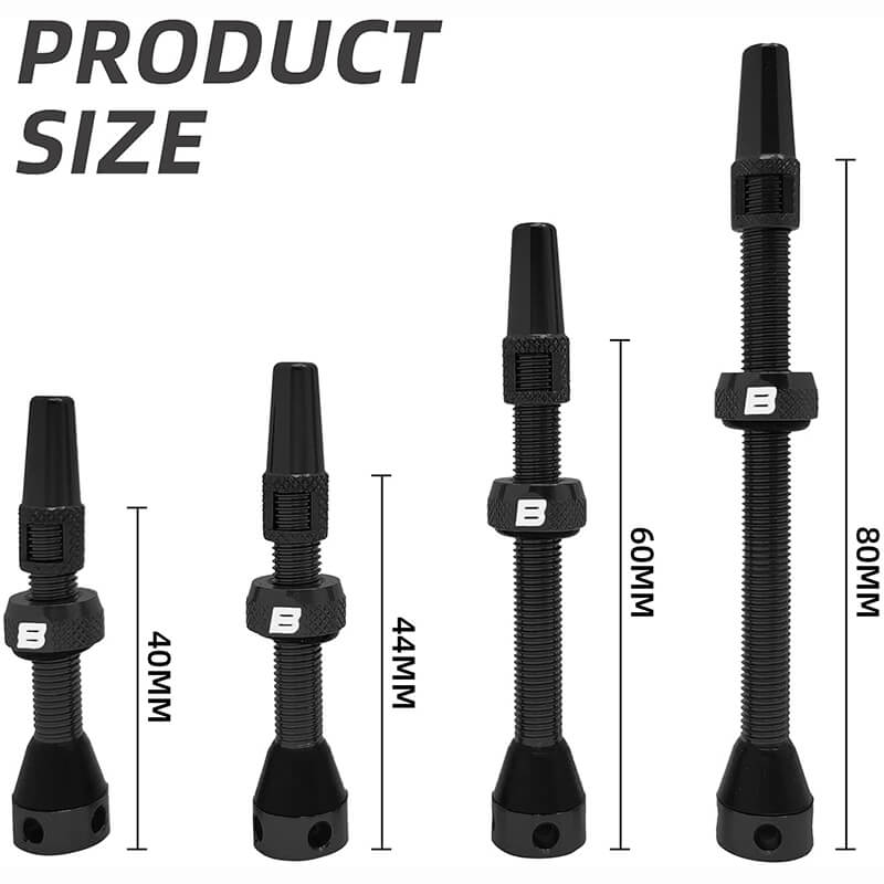 BWSHLF Tubeless Presta Valve Kit-Black