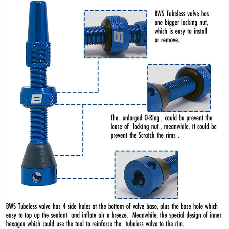 BWSHLF Tubeless Presta Valve Kit-Blue