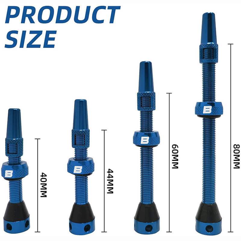 BWSHLF Tubeless Presta Valve Kit-Blue