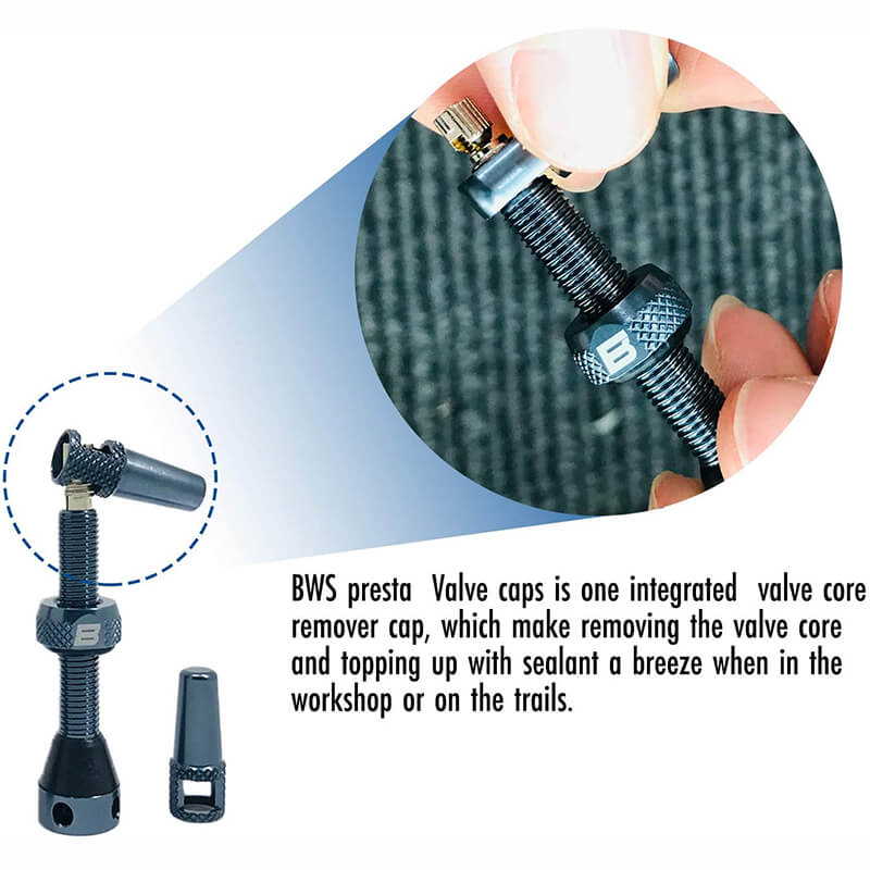 BWSHLF Tubeless Presta Valve Kit-Blue