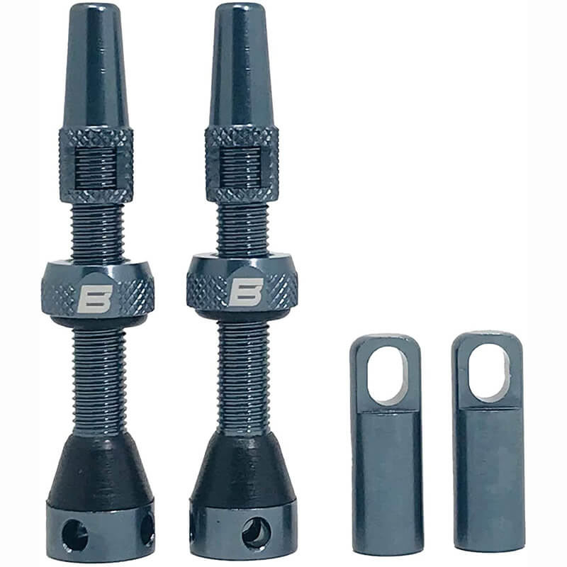 BWSHLF Tubeless Presta Valve Kit-Gray