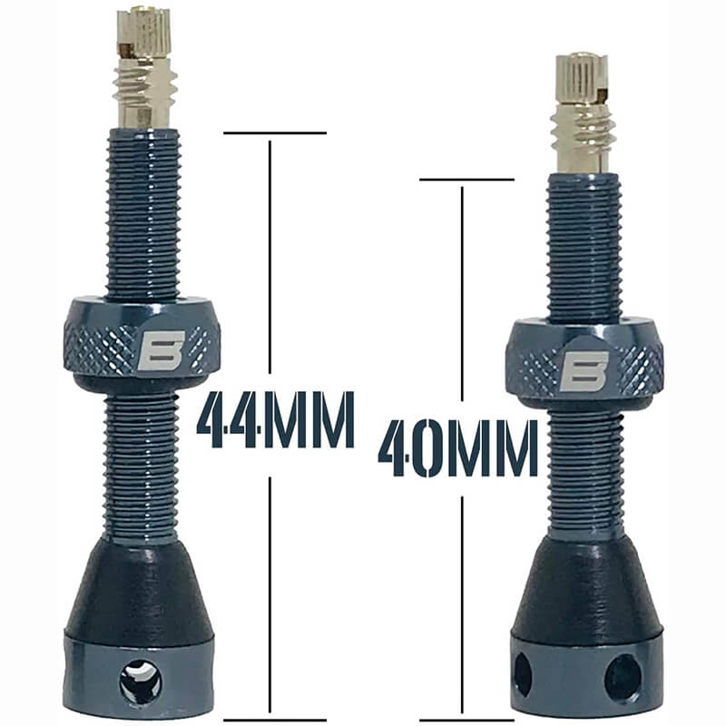 BWSHLF Tubeless Presta Valve Kit-Gray