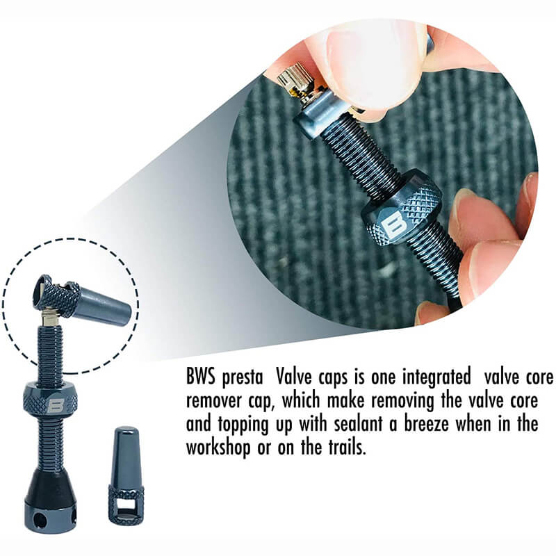 BWSHLF Tubeless Presta Valve Kit-Gray