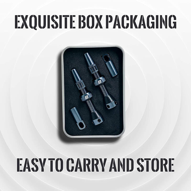 BWSHLF Tubeless Presta Valve Kit-Gray