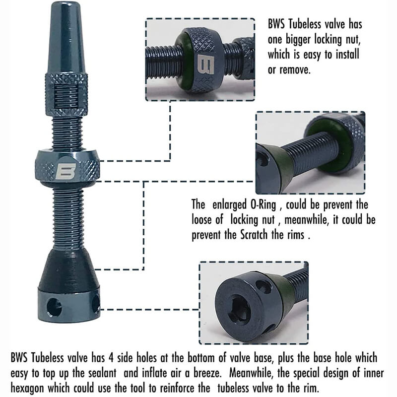 BWSHLF Tubeless Presta Valve Kit-Gray
