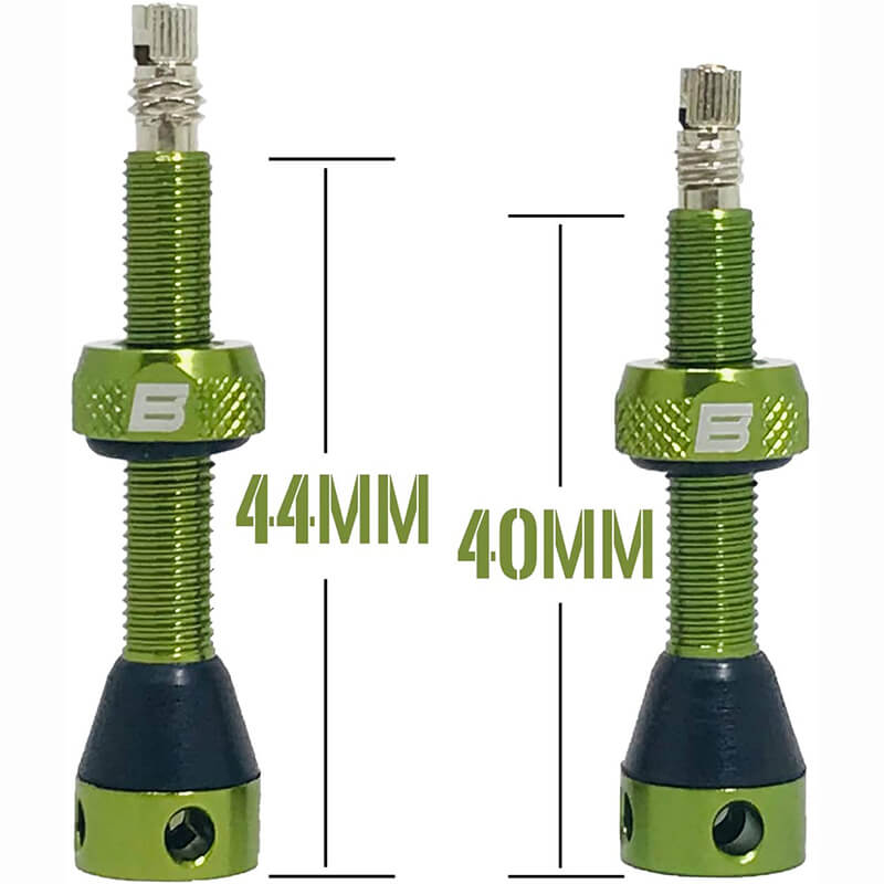 BWSHLF Tubeless Presta Valve Kit-Green