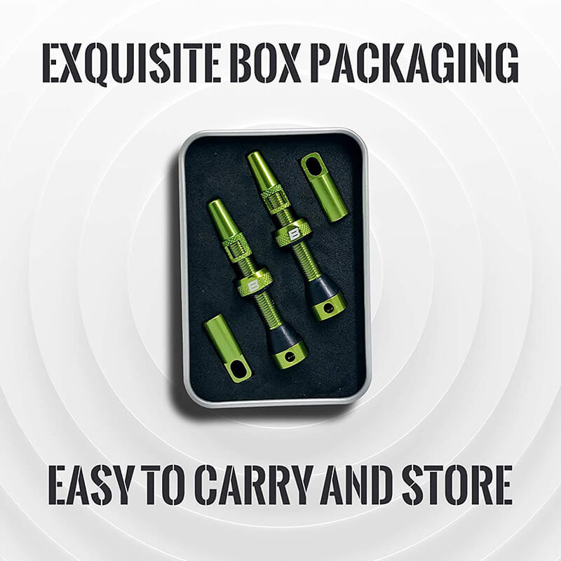 BWSHLF Tubeless Presta Valve Kit-Green