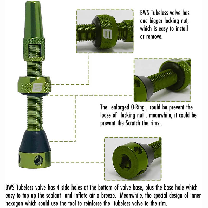 BWSHLF Tubeless Presta Valve Kit-Green