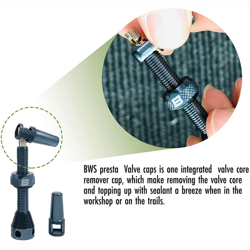 BWSHLF Tubeless Presta Valve Kit-Green