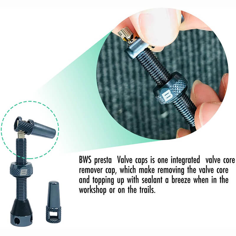 BWSHLF Tubeless Presta Valve Kit-Neon