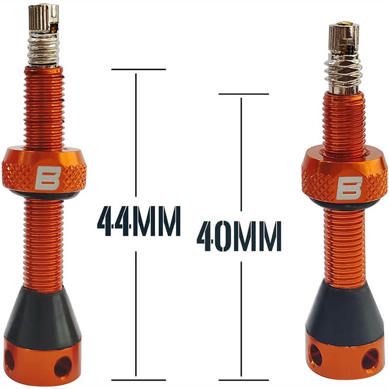 BWSHLF Tubeless Presta Valve Kit-Orange