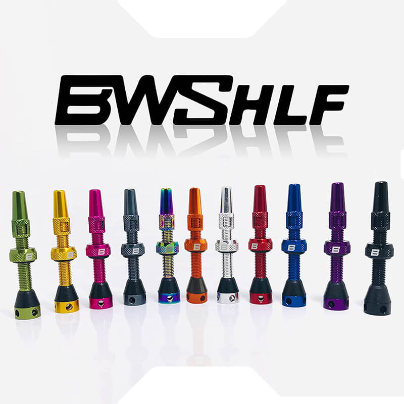 BWSHLF Tubeless Presta Valve Kit-Orange