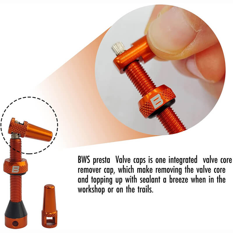 BWSHLF Tubeless Presta Valve Kit-Orange