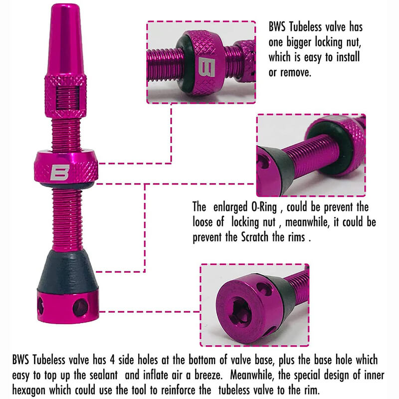 BWSHLF Tubeless Presta Valve Kit-Pink