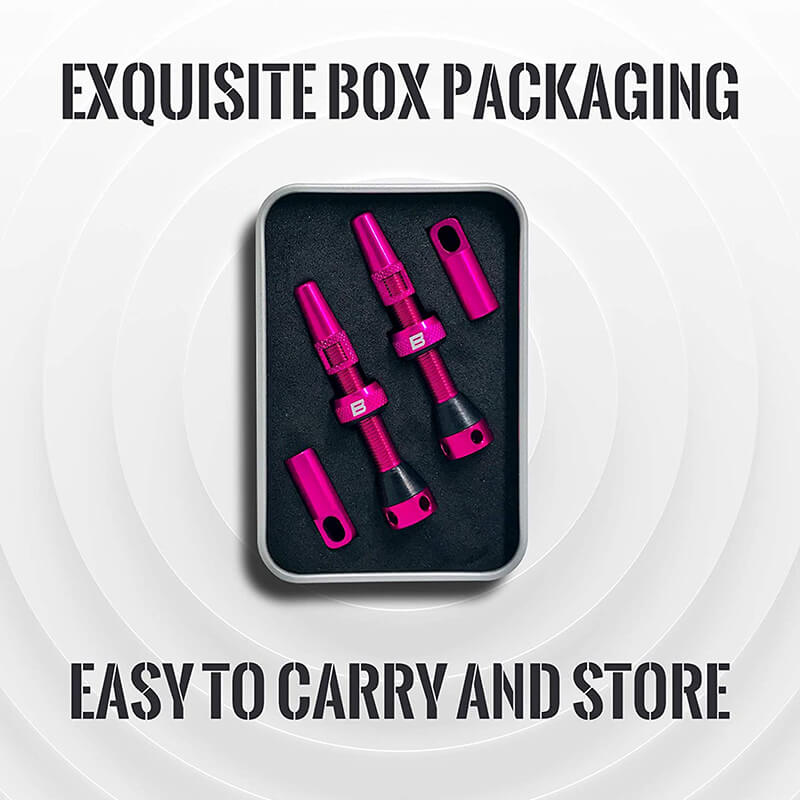 BWSHLF Tubeless Presta Valve Kit-Pink