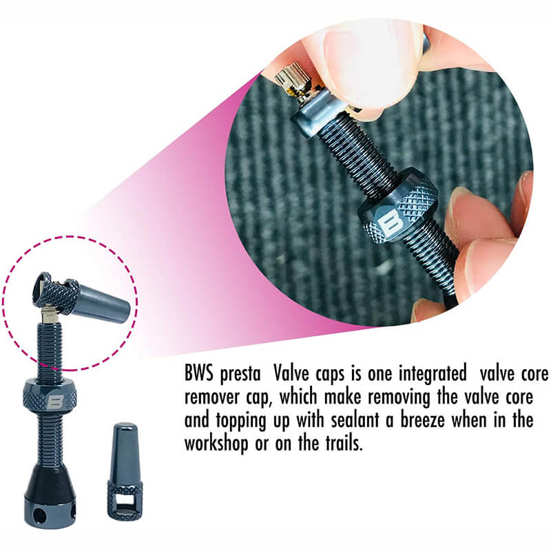 BWSHLF Tubeless Presta Valve Kit-Pink