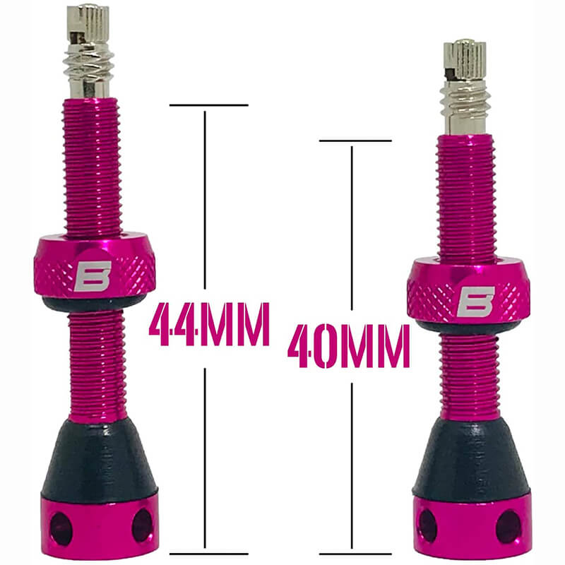 BWSHLF Tubeless Presta Valve Kit-Pink