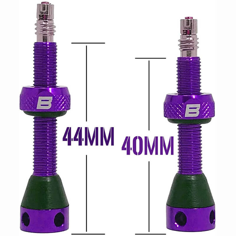 BWSHLF Tubeless Presta Valve Kit-Purple