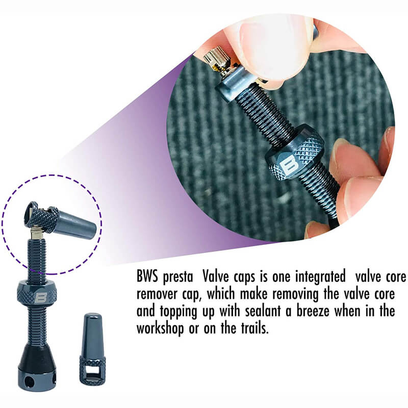 BWSHLF Tubeless Presta Valve Kit-Purple