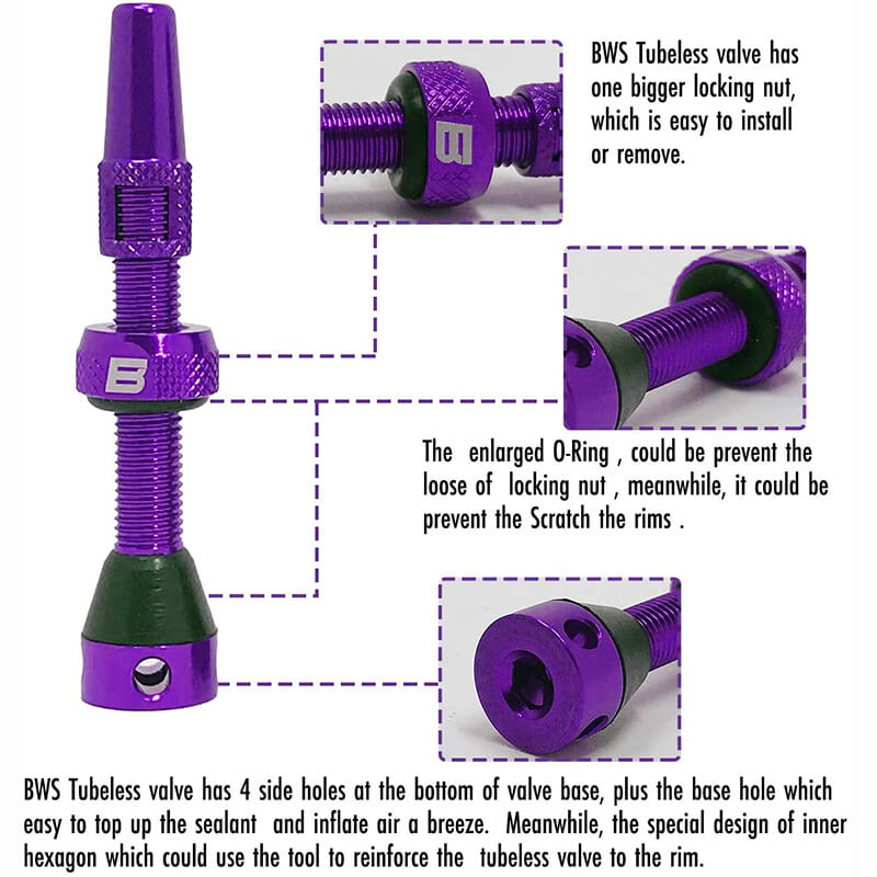 BWSHLF Tubeless Presta Valve Kit-Purple