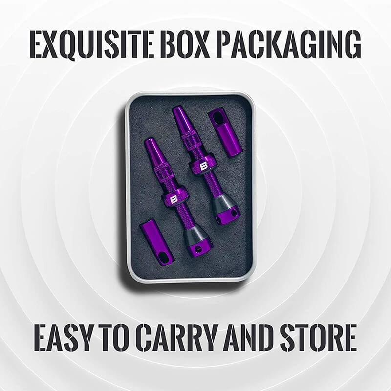 BWSHLF Tubeless Presta Valve Kit-Purple