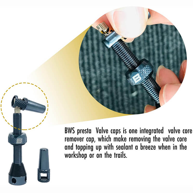 BWSHLF Tubeless Presta Valve Kit-Yellow