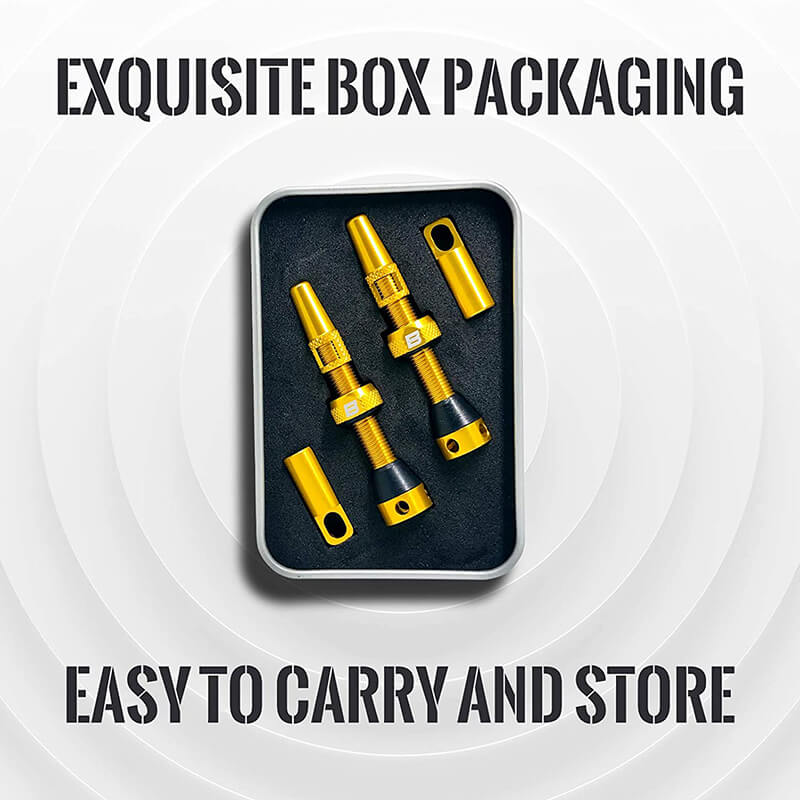 BWSHLF Tubeless Presta Valve Kit-Yellow